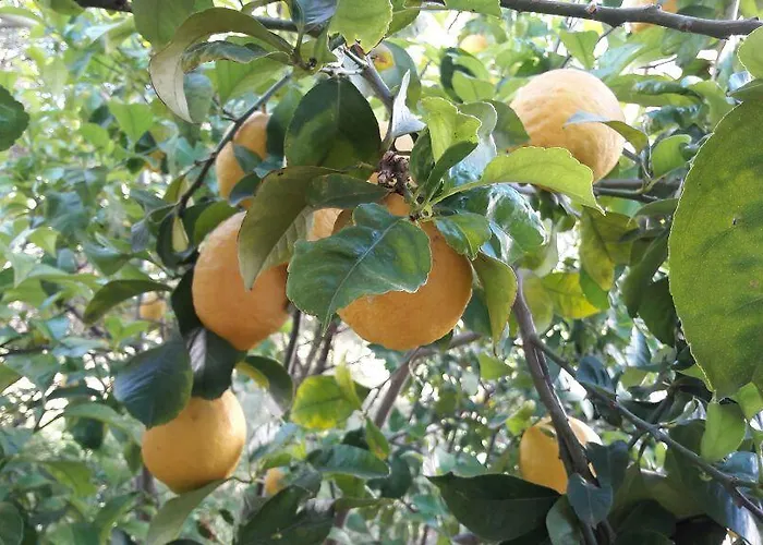 Apartamento Athina Kato Korakiana